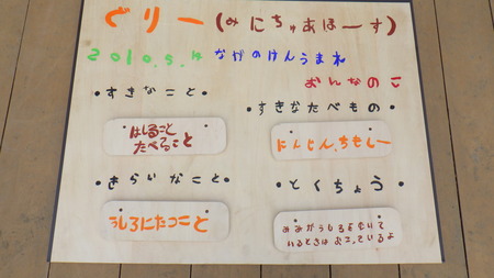 RIMG0240.jpg