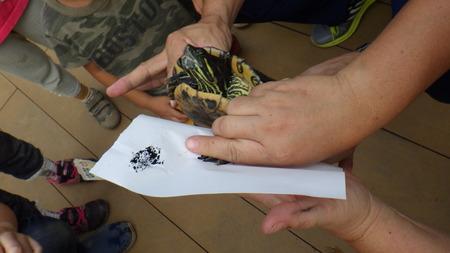RIMG0265.jpg